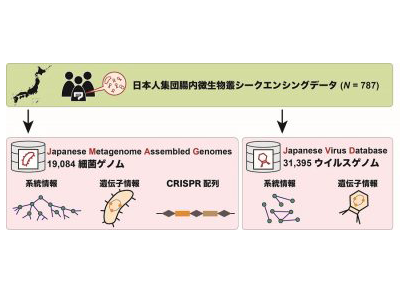 日本人腸内細菌・ウイルス叢ゲノムをデータベース化、病気や食生活との関連解明－阪大