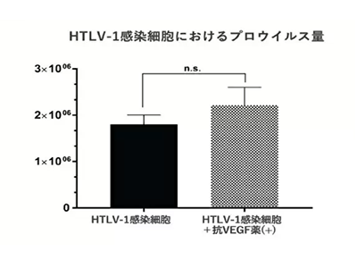 HTLV-1感染者へのVEGF阻害薬の眼内投与、in vitroで安全性を確認－東京医歯大