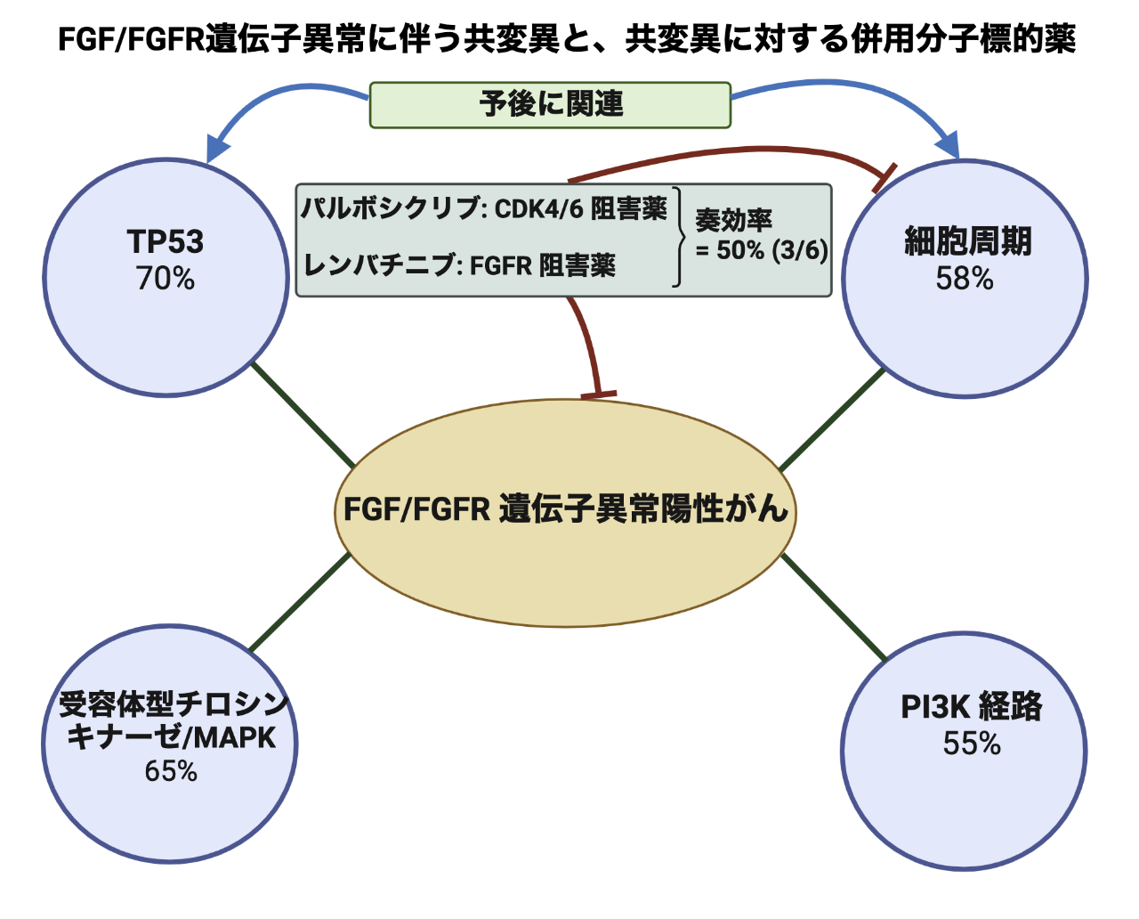 FGFR変異＋共変異のがん、分子標的薬併用療法の有効性を確認－東京医歯大ほか
