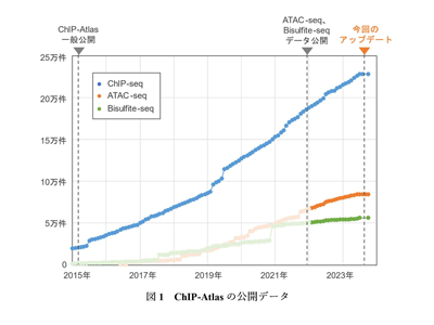 エピゲノム統合データベース「ChIP-Atlas」世界最大規模へと進化－熊本大ほか