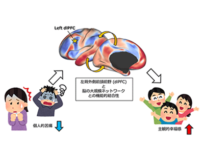 医療従事者の為の最新医療ニュースや様々な情報・ツールを提供する医療総合サイト主観的幸福感と共感性の基盤となる安静時脳機能ネットワークを解明－京大ほか