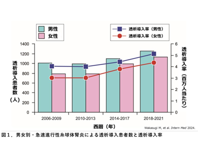 急速進行性糸球体腎炎による透析導入率、70歳以上で上昇傾向－新潟大