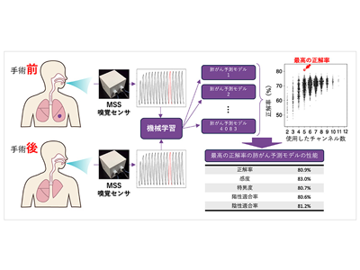 肺がんを呼気から早期発見、超高感度嗅覚センサと機械学習により予測－筑波大ほか
