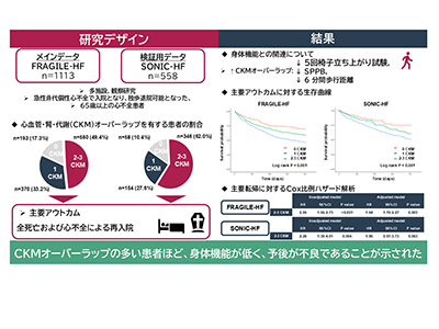 心不全、高齢患者でCKMオーバーラップと身体機能・長期予後の関連を解明－順大ほか