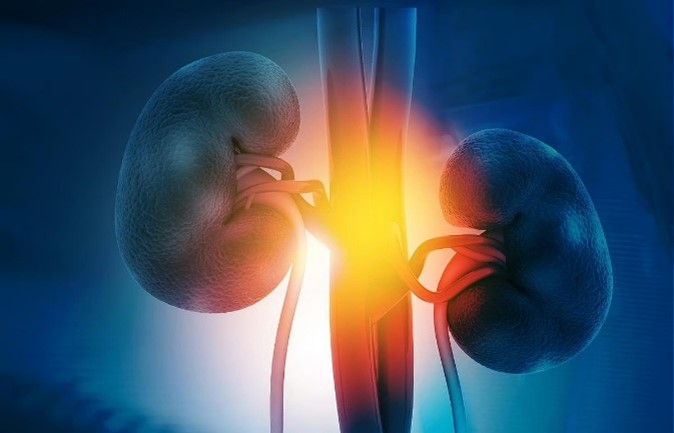 真陽性率93.3％、慢性腎臓病を簡単に検出できる「呼気センサー搭載マスク」