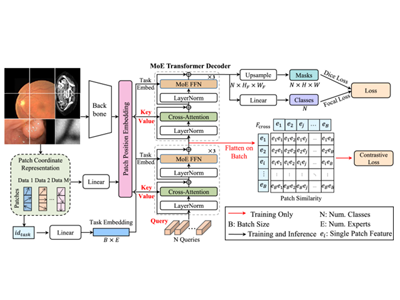 近赤外血管と胃カメラ画像など、4種の医療画像を統合解析するAI開発－早大