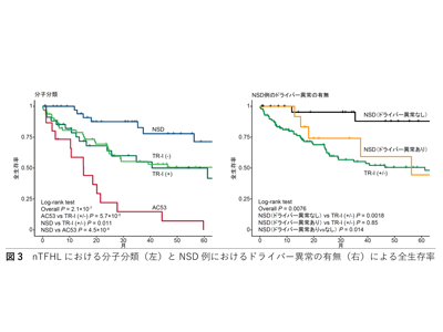 節性T濾胞ヘルパー細胞リンパ腫、遺伝子異常の全体像から予後を層別化－北大病院ほか