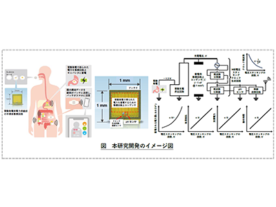 デジタル錠剤による「腸内環境」モニタリング、基盤技術の開発に成功－京大ほか