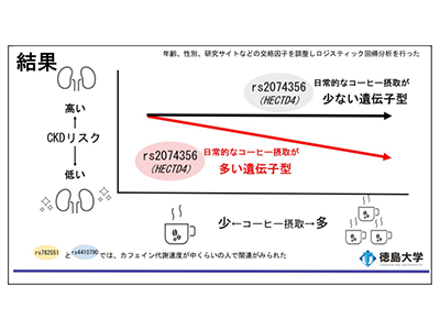 コーヒーと腎機能の関係、遺伝的多型が影響の可能性－徳島大ほか