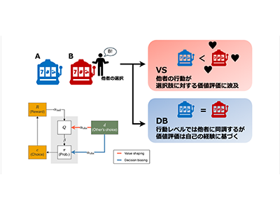 急変する環境での集団意思決定パフォーマンスを改善する仕組みを解明－東大ほか