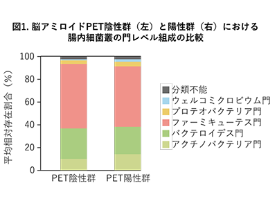 アルツハイマー病、腸内細菌叢が発症に関与の可能性-都長寿研