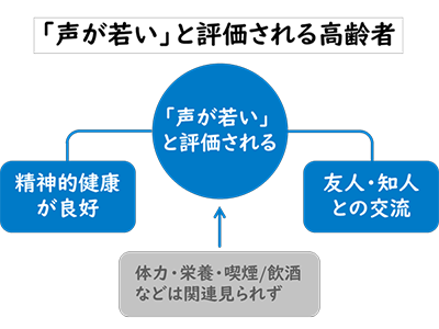 高齢者の声の若々しさ、心の健康や社会的交流と関連－都長寿研