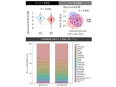 統合失調症、「口腔細菌叢の多様性」が高いほど認知機能が高い傾向-科学大