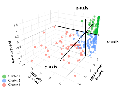 人工股関節置換術、術前歩行速度で術後成績予測の可能性－九大